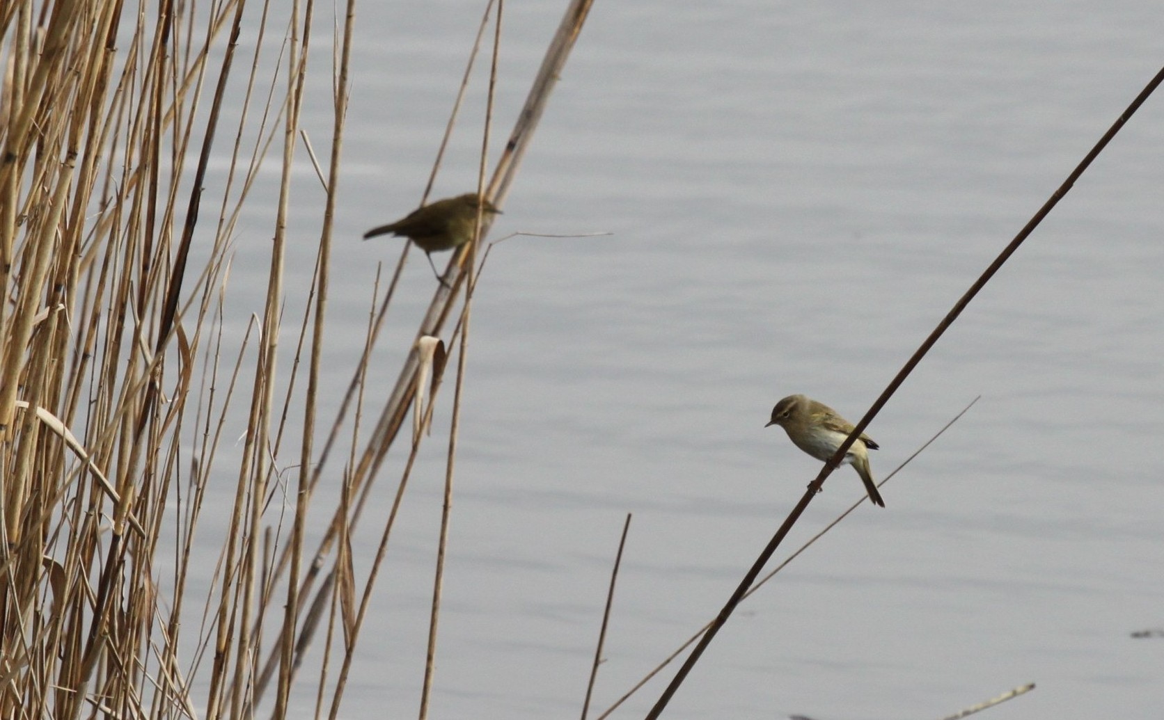 Tutti Lu� piccoli?